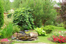 cassier jardin services cassier jardin services